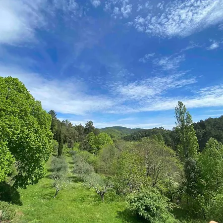 Baresia Apartman
